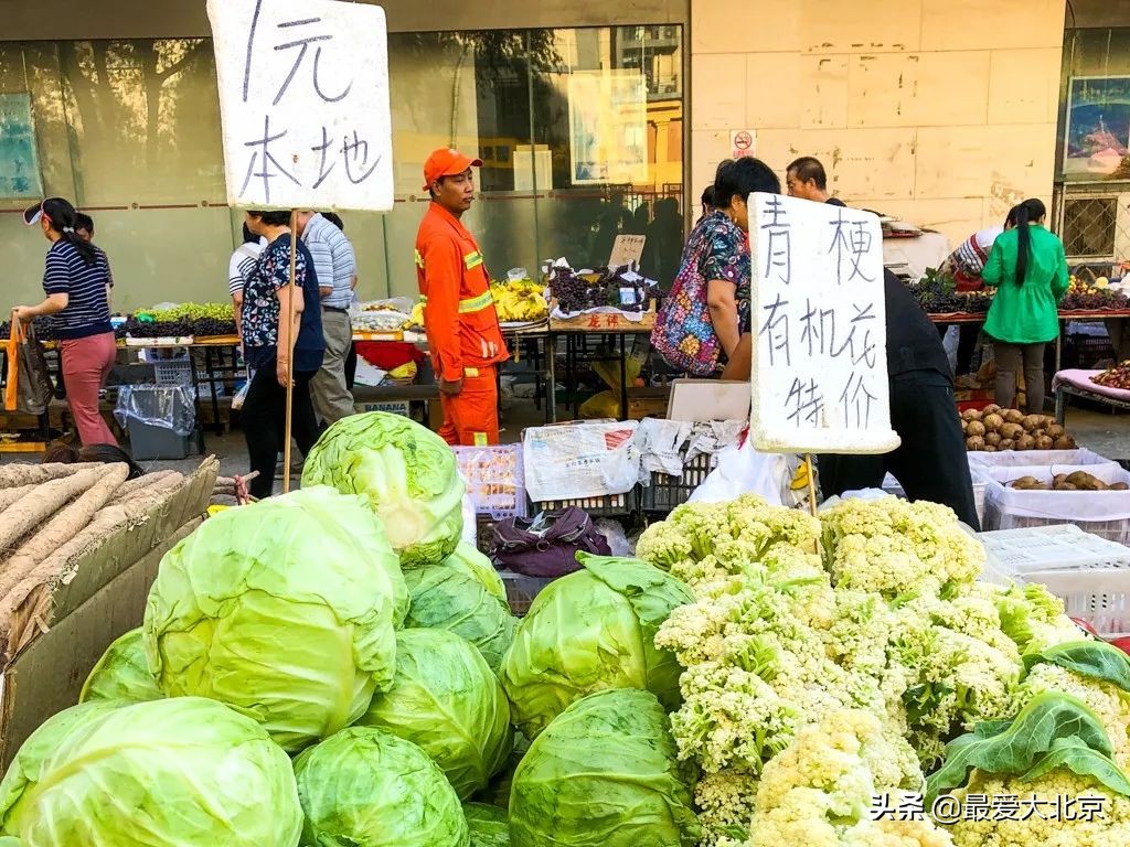 最便宜的早市品种,北方早市有哪些品种