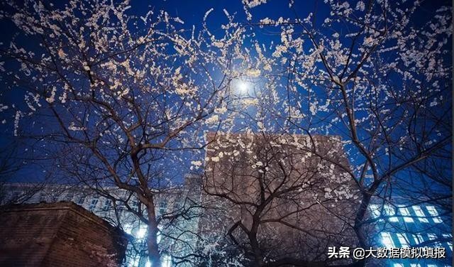 大数据带你看大学华南理工,大连理工大学评分