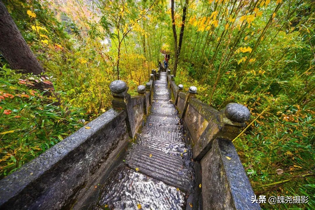 留坝秦岭之夜,留坝秦岭森林公园