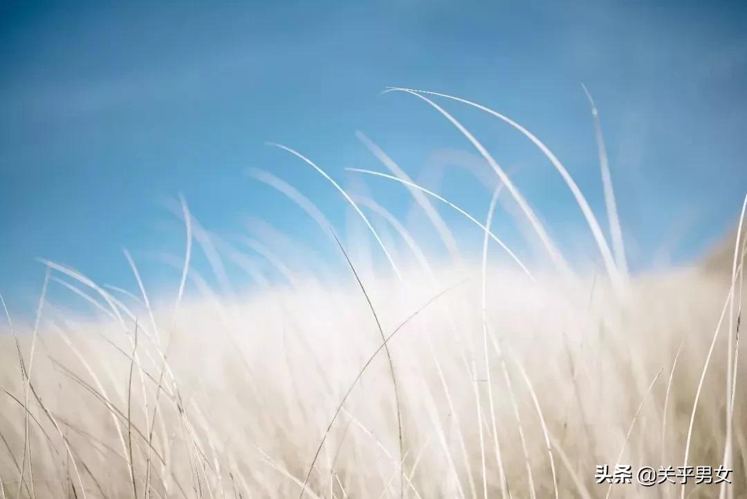 生活中做些什么事情,生活中做哪些事才有意义