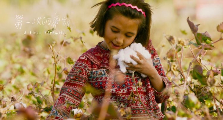 柏林苍穹下电影插曲,柏林苍穹下剧情解析