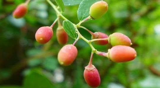 送礼这四样东西不能送,送礼六大诀窍你要懂