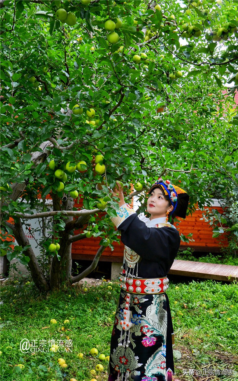 夜色成都串串爽，魅力小金苹果香#国庆中秋趣哪玩#