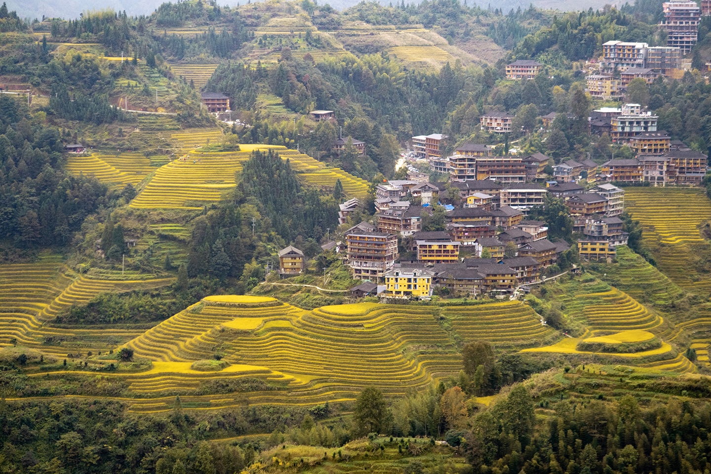 世界奇观龙脊梯田视频,世界梯田之冠桂林龙脊梯田
