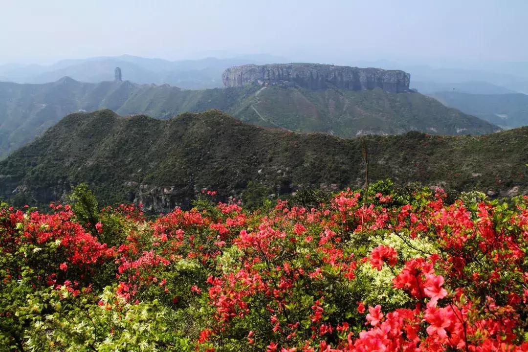 70年有什么经典的歌,6070年代都在听的一首歌
