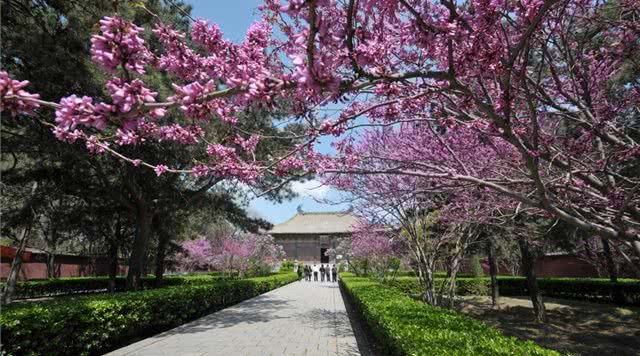 山西古建筑旅游路线介绍,山西古建筑旅游景点介绍
