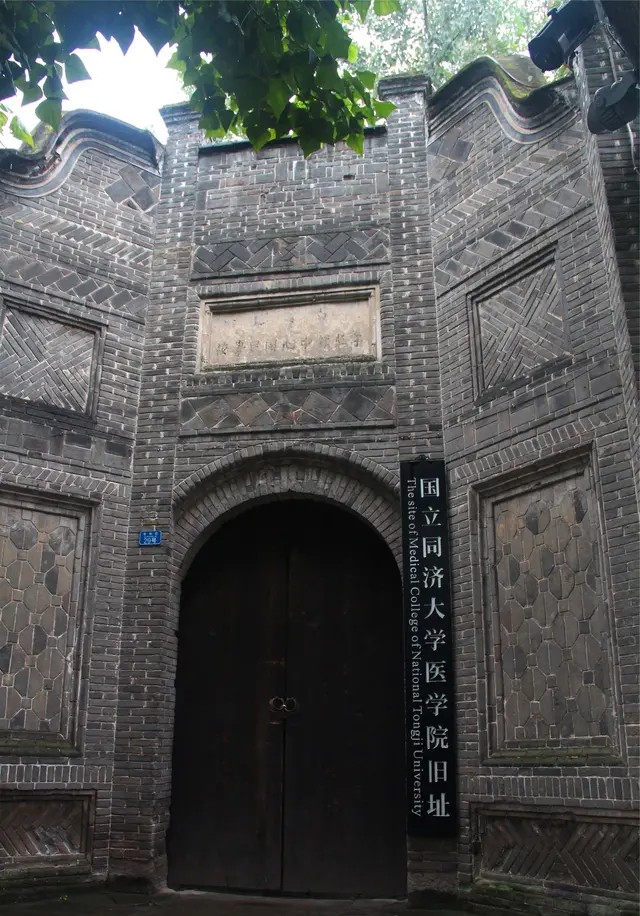 我的中国心中文版,我的中国心全集