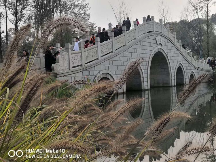 深秋的私语,美文美图经典欣赏