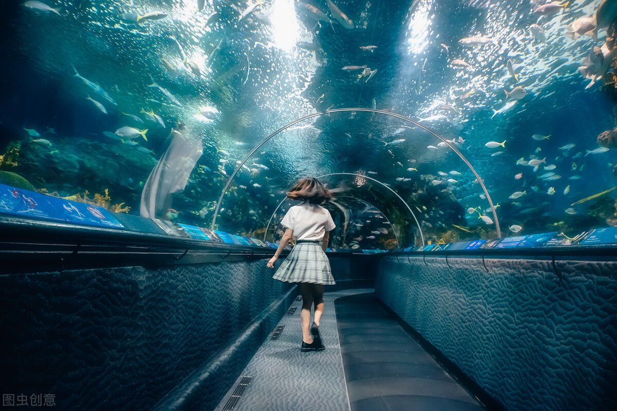 上海春节亲子游好地方推荐,上海自然博物馆亲子游攻略