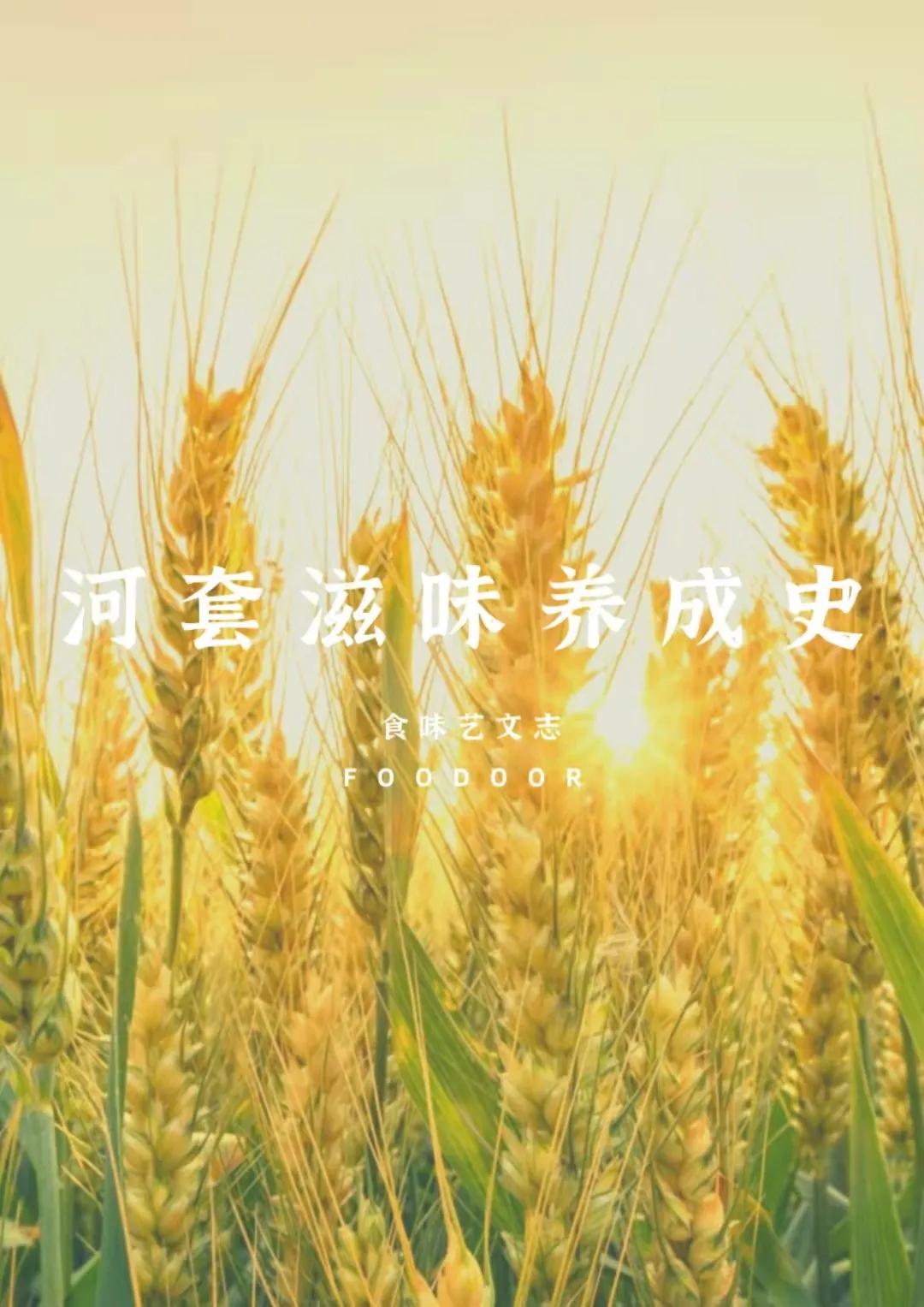 娌冲闈㈤,娌冲鐗硅壊闈㈤