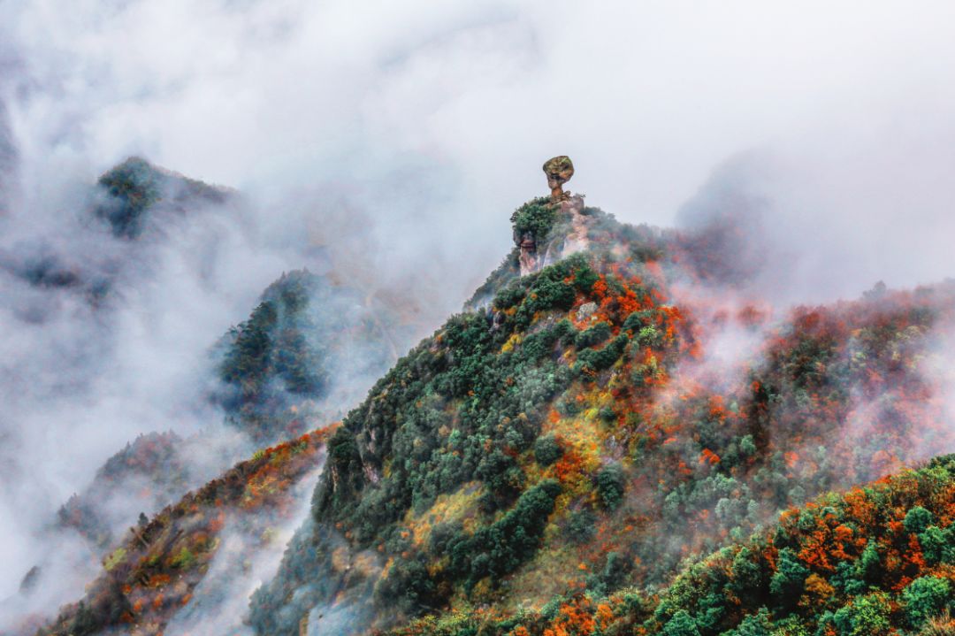 吐鲁番的葡萄熟了的景色,吐鲁番的葡萄熟了美丽的风景