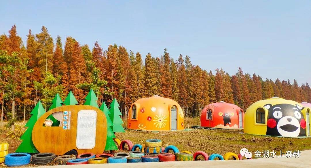 亲子游推荐地金湖水上森林景区,金湖水上森林景区攻略视频
