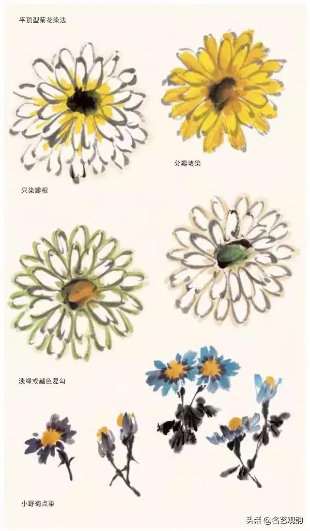 写意菊花小品国画大全,国画写意菊花和螃蟹
