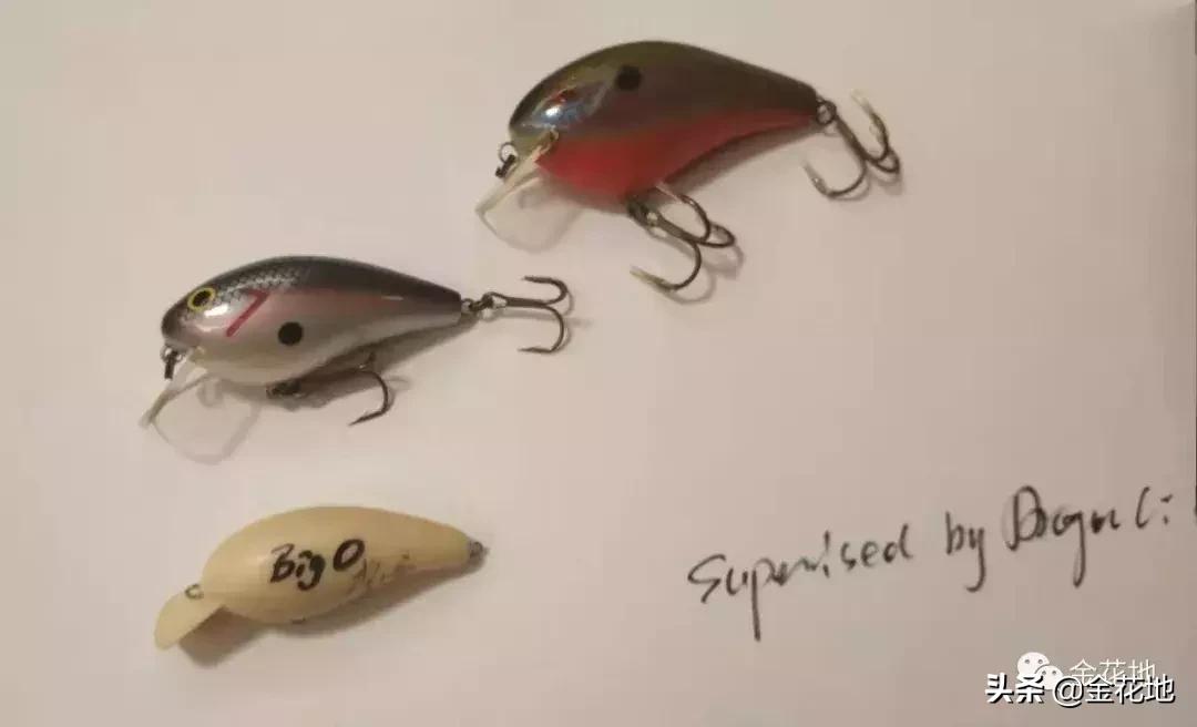 撩起面纱看“悟海视界”（展品篇）