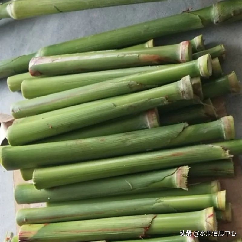 国内好吃的热带水果有哪些,小众水果推荐