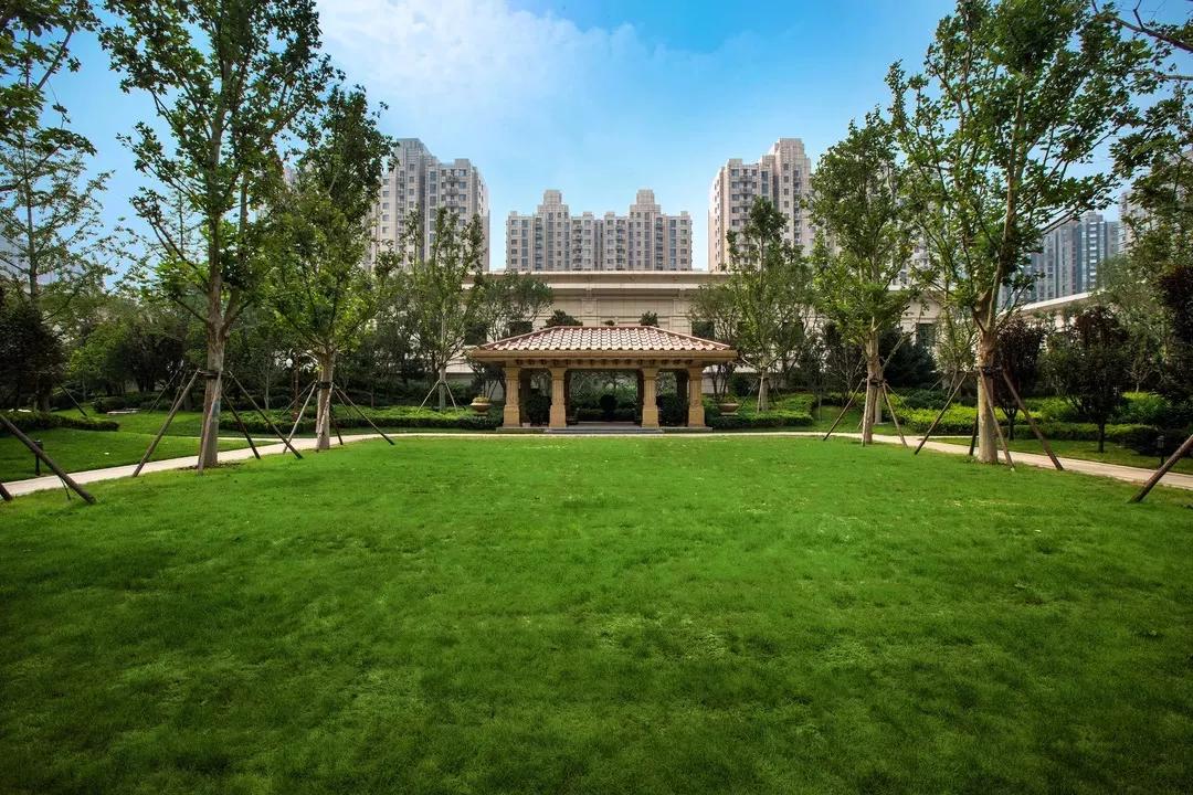 朝阳泛海最便宜楼盘,朝阳泛海国际房价