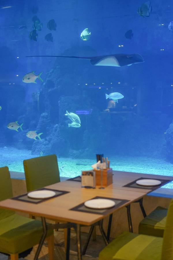 亚龙湾度假酒店全部测评,亚龙湾一线海景哪个酒店比较好