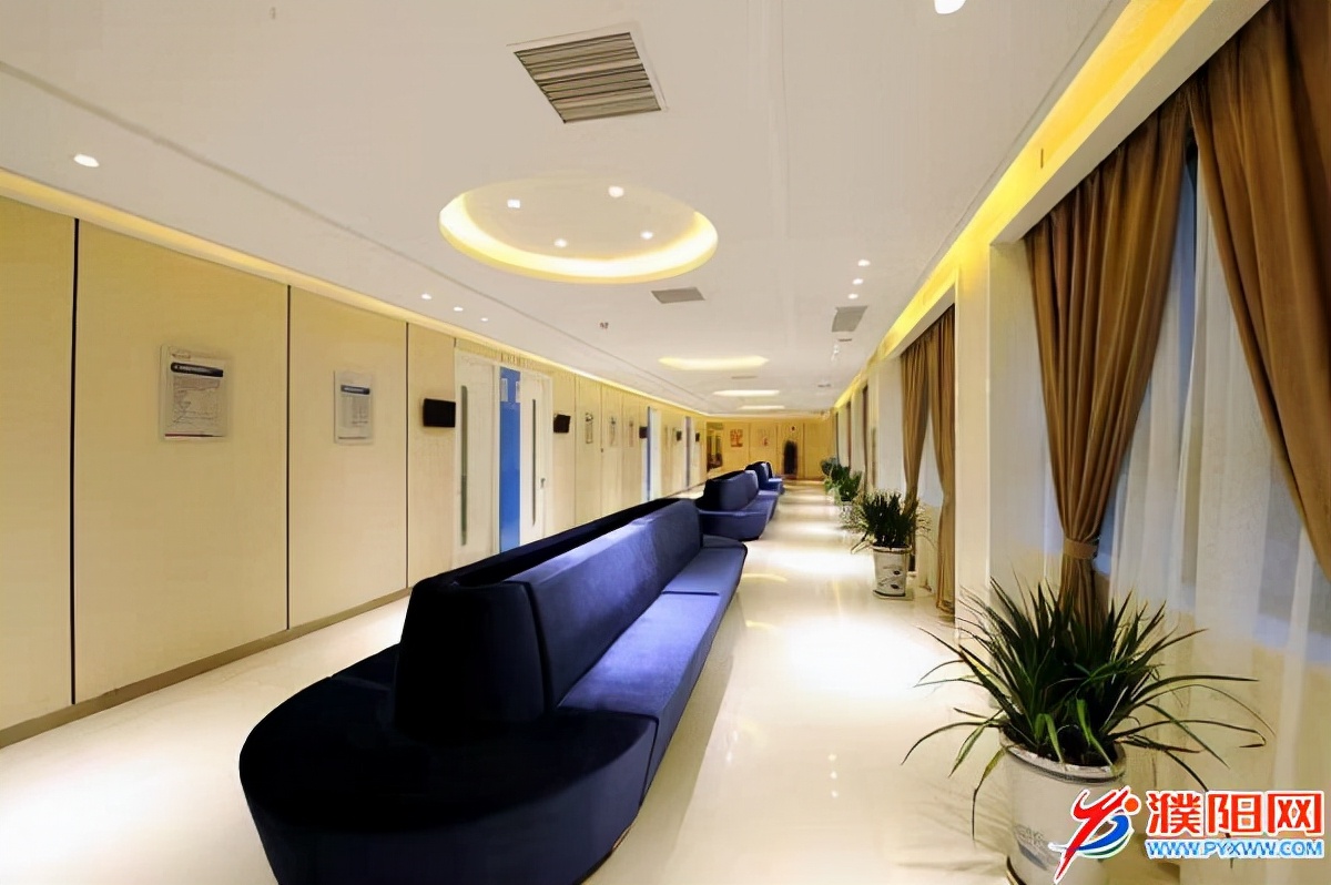 “TA”们眼里的“美年”之“美”