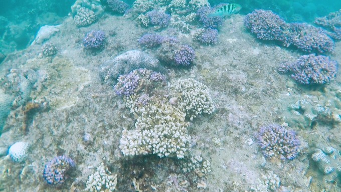 海南冲浪旅游攻略,海南万宁日月湾冲浪攻略