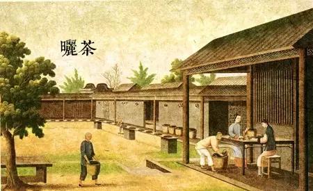 漫话中国古代史怎么画,漫话中国茶的历史