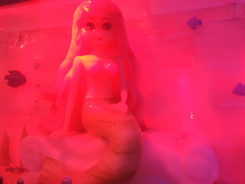 珠海神秘岛两大两小套票,珠海神秘岛乐园