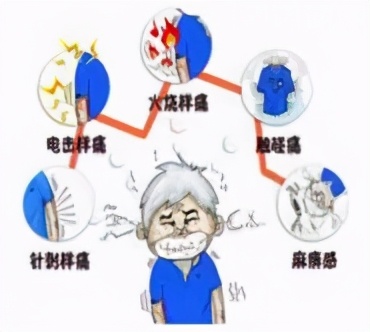 生蛇有什么急救方法吗,生蛇要注意些什么