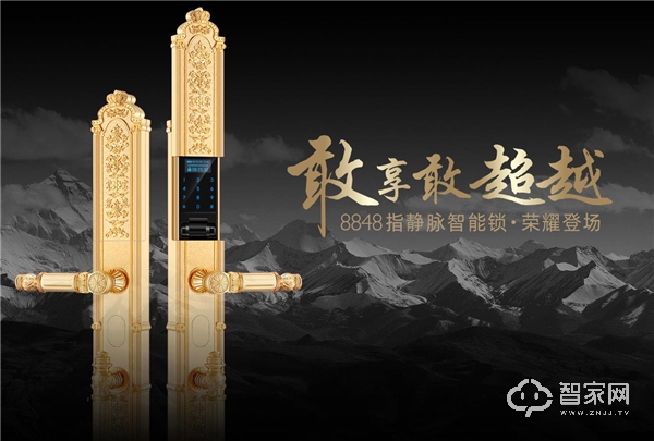 智能门锁龙头企业,2019智能门锁市场如何