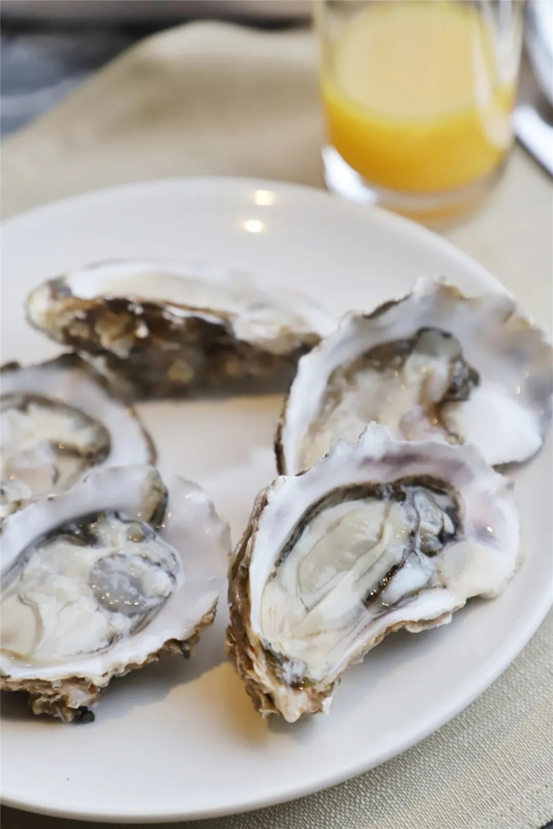 开启非凡住宿万豪旅享家,万豪旅享家邂逅城市五星级酒店