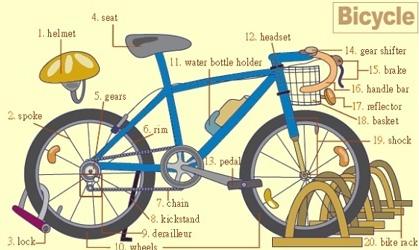 英语生活常见单词拼读启蒙,图解速记初中英语高频词汇