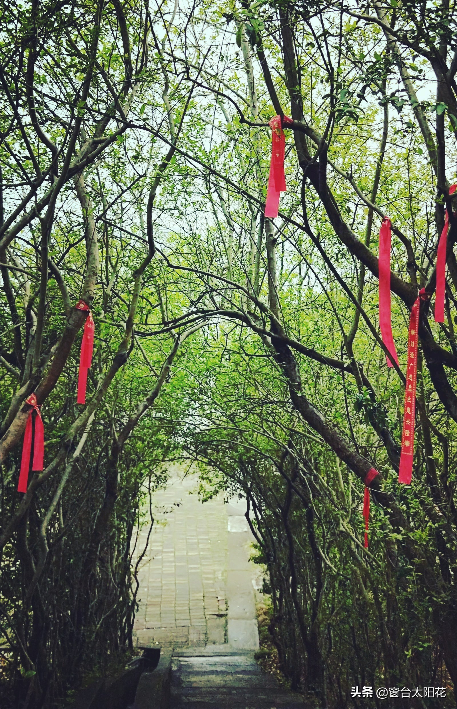 独自穷游西藏,独自穷游中国之湖北恩施