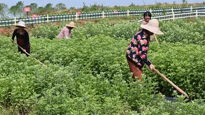 遇见美丽水乡,鄱阳鄱阳湖