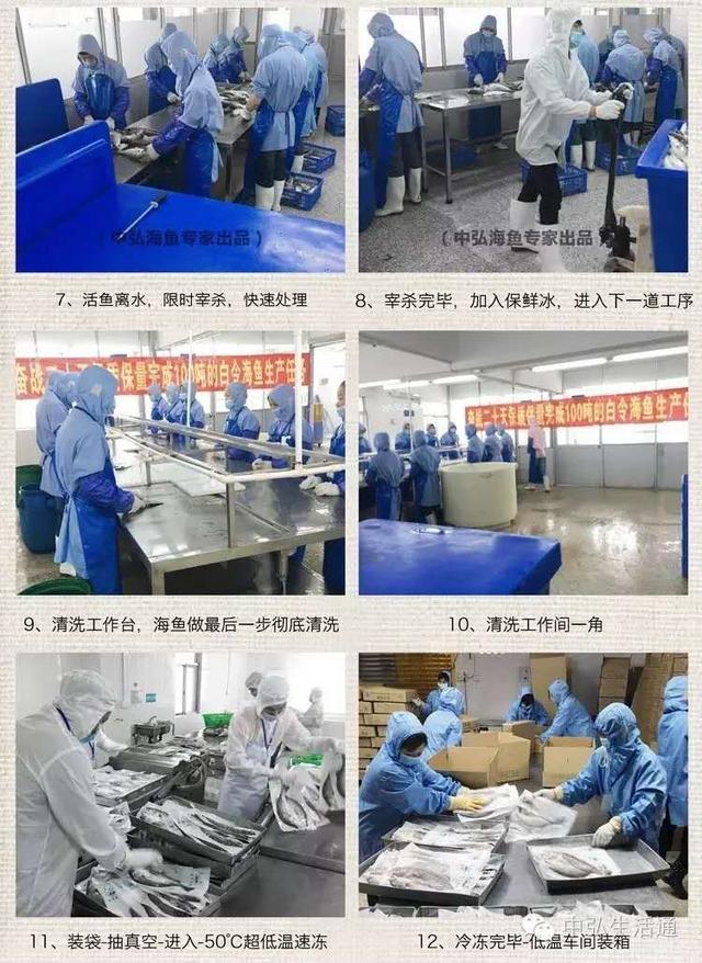 最鲜美的清蒸海鱼,清蒸鲜甜海鱼