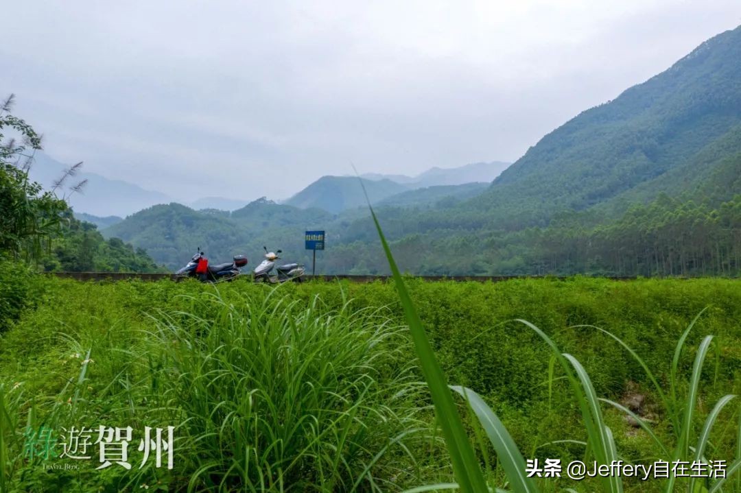 拍贺州｜莲塘镇大山深处的“一号基地”