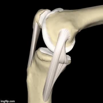 膝盖上下楼梯疼痛蹲下起不来,膝关节上下楼梯下蹲疼痛