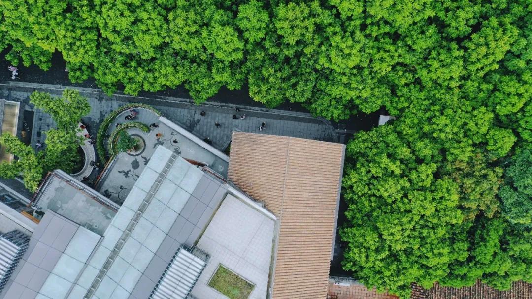 禅城岭南天地旧屋改造,岭南天地改造