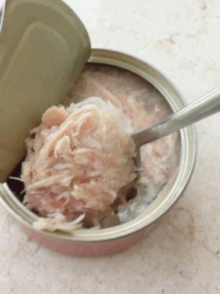 零食罐和主食罐吃哪个,主食罐零食罐