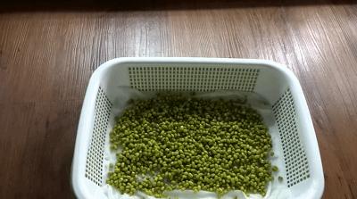 在家怎么无土种菜简单又安全,家庭种菜不用肥料种菜方法