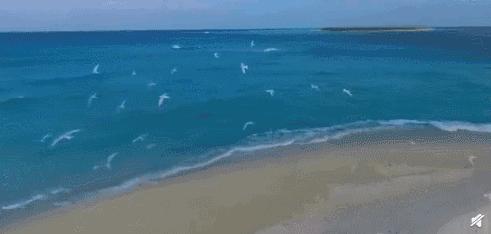 西沙群岛的美丽和富饶,西沙群岛的特殊