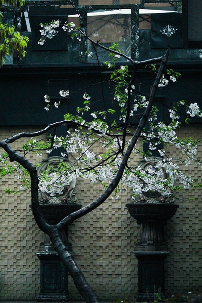 高二这一年有多重要,决定高考成败的是高二还是高三