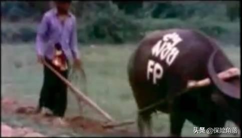 淇濋櫓濂椾究瀹滃拰璐电殑宸埆,淇濋櫓涓嶅緱涓嶈鐨勪簨