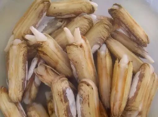 醴陵市海鲜收藏排行榜,海鲜礼盒收藏价格表图