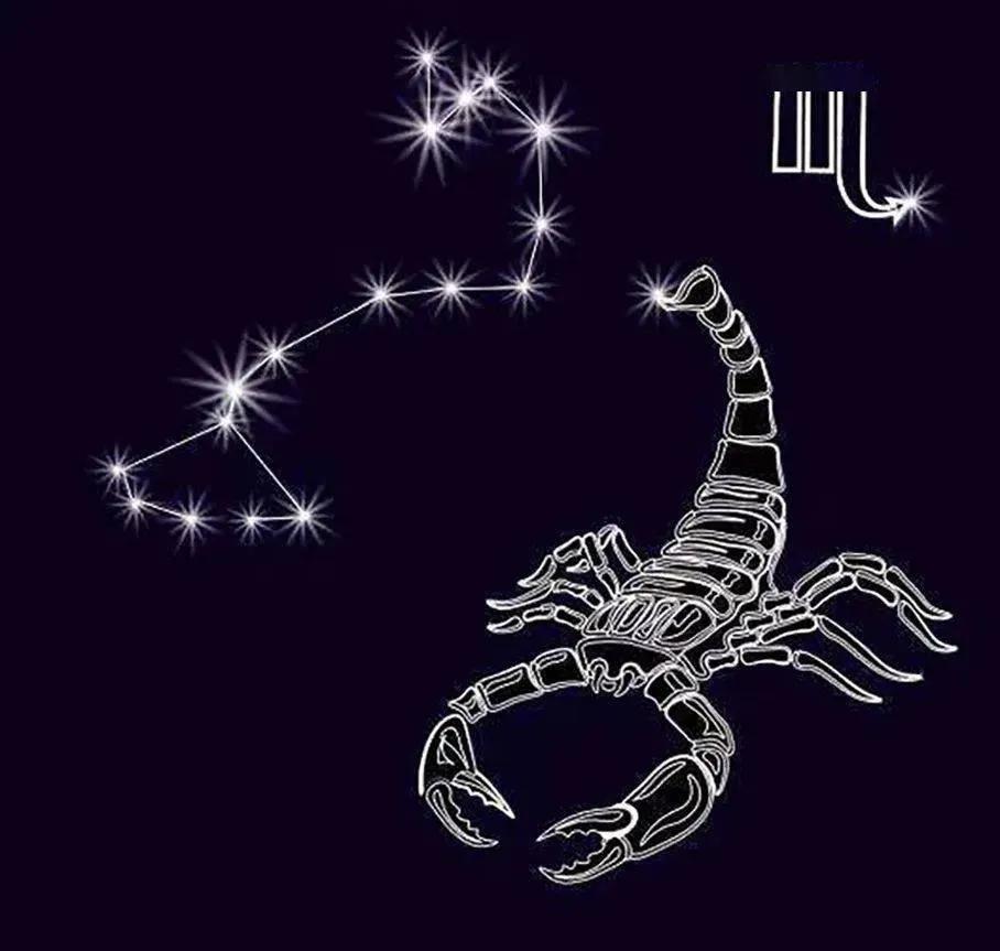 李宁韦德之道全城5专业测评,李宁韦德之道全城8测评