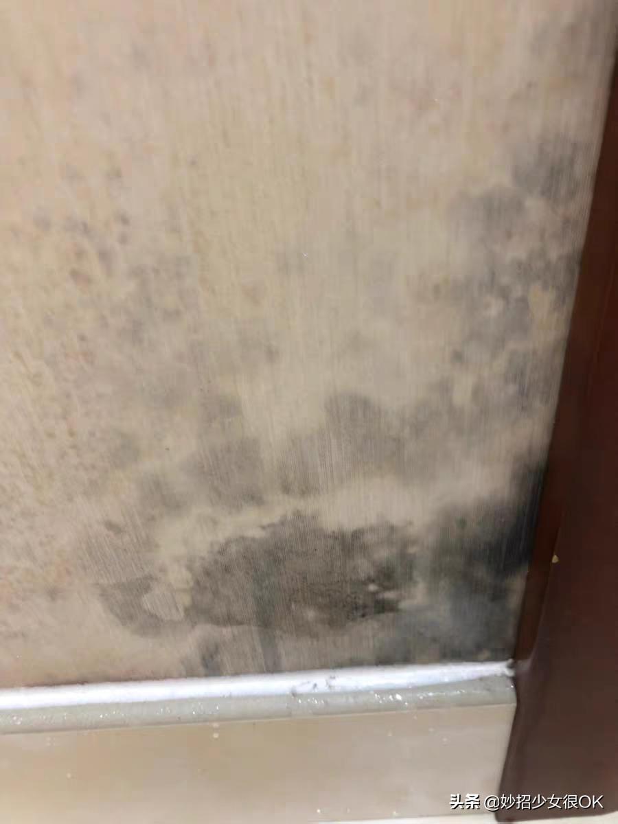 墙纸发霉怎么办5个方法来处理,墙纸发霉彻底解决方法
