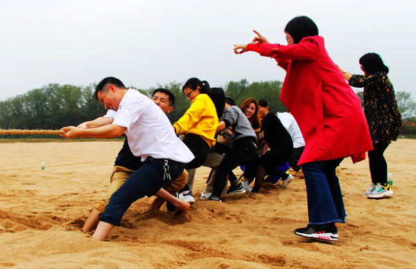 鄱湖之滨美景图,鄱阳湖之滨