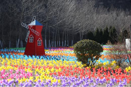 风车文化节,泰达慧谷风车节