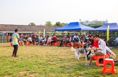 单身汪的逆袭,单身汪实力