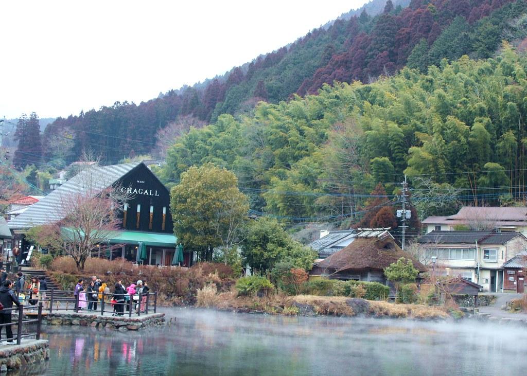 比大熊猫还濒危的小熊猫,比熊猫更稀有的小熊