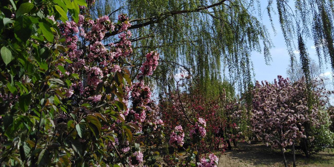 沈阳长白岛森林公园一日游攻略,长白岛森林公园五一