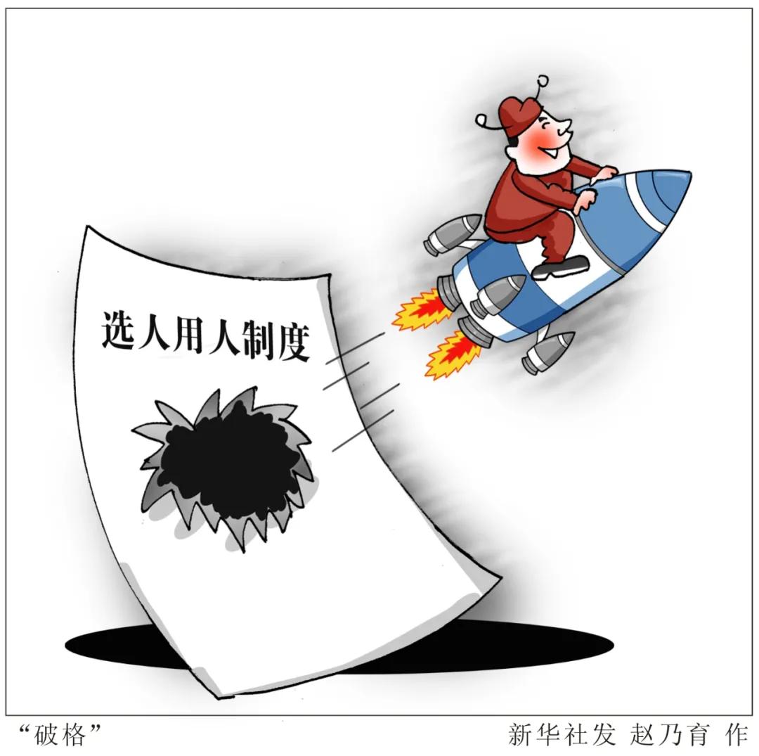 定向选调和基层选调,基层选调和定向选调