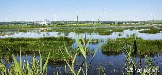 坝上草原拍照打卡,旅游打卡坝上草原